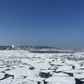 道の駅流氷街道網走の写真_131481