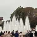 上野恩賜公園（上野公園）の写真_1315312
