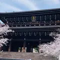 知恩院の写真_1319304