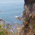 江の島岩屋の写真_1323305