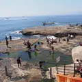 稚児ヶ淵の写真_1323317