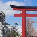 段葛の写真_1323438