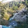 山中温泉の写真_1324621