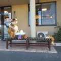 洗濯狐の写真_1326435