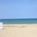 琴ヶ浜の写真_1329306