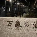 長湯温泉 万象の湯の写真_1330068