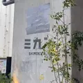 ミカン下北の写真_1331099