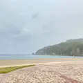 恋人の聖地 浜坂県民サンビーチ 松の庭の写真_1331432