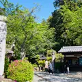 白毫寺の写真_1339399
