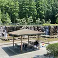 水分れ公園の写真_1339409