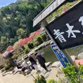 青木屋の写真_1341682