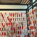 極楽橋駅の写真_1342000