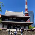 増上寺の写真_1345164