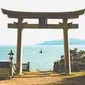 伊和都比売神社の写真_1346109