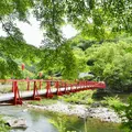 香嵐溪の写真_1351785