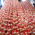 地球屋の写真_1358828