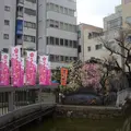 うどん双樹の写真_136949