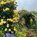 中之条ガーデンズの写真_1370015