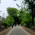 武蔵一宮 氷川神社の写真_1374027