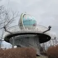 丸山総合公園の写真_1377102