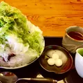 つぼみの写真_138423