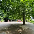 氷川の杜公園の写真_1386625