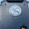山鳩の写真_1390284