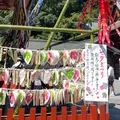 鶴岡八幡宮の写真_1391574
