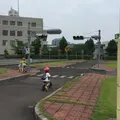 鳥取市交通公園の写真_139393