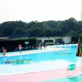 イモ山公園プールの写真_139783