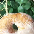 dough-doughnutsの写真_139854