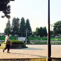 世田谷公園の写真_139963