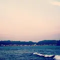 由比ガ浜海水浴場の写真_139969