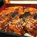 つきじ芳野 吉弥の写真_140017