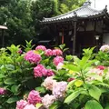 長弓寺 薬師院の写真_140080