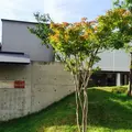 【閉業】カフェ アジールの写真_140215