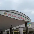 道の駅マリンドリーム能生の写真_1403026