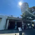 江の島シーキャンドルの写真_1411125