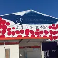 豊浦港の写真_1411834