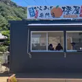 橙屋の写真_1415987