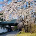 星野リゾート 青森屋の写真_1418563