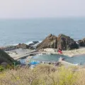龍飛崎の写真_1418565