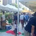 国連大学本部ビルの写真_142566