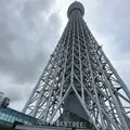 東京スカイツリーの写真_1428340
