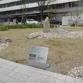 刻印石の庭(残念石)の写真_1429472
