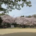 王子公園の写真_1429489