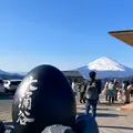 大涌谷の写真_1431726