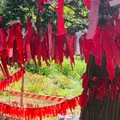 卯子酉様の写真_1433986