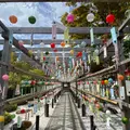 宝徳寺の写真_1437830