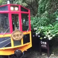 トロッコ嵯峨駅の写真_144249